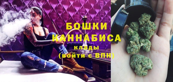 PSILOCYBIN Алзамай