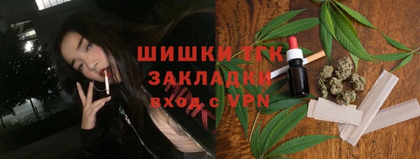 PSILOCYBIN Алзамай