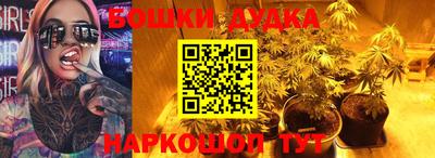 шишки Нарткала