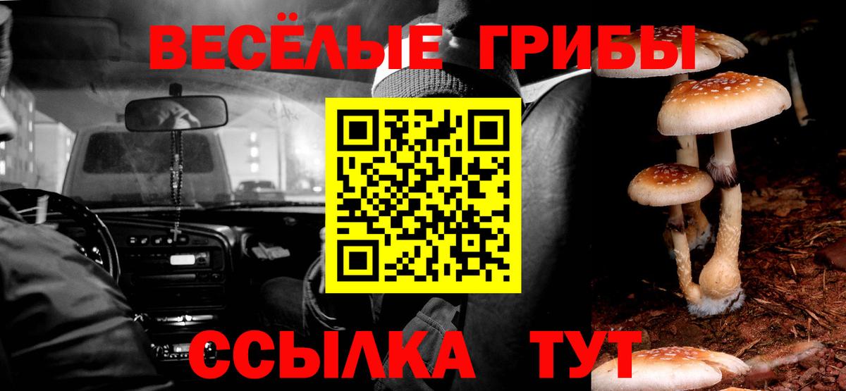 Галлюциногенные грибы Cubensis  купить  сайты  Заринск  Вход с VPN 